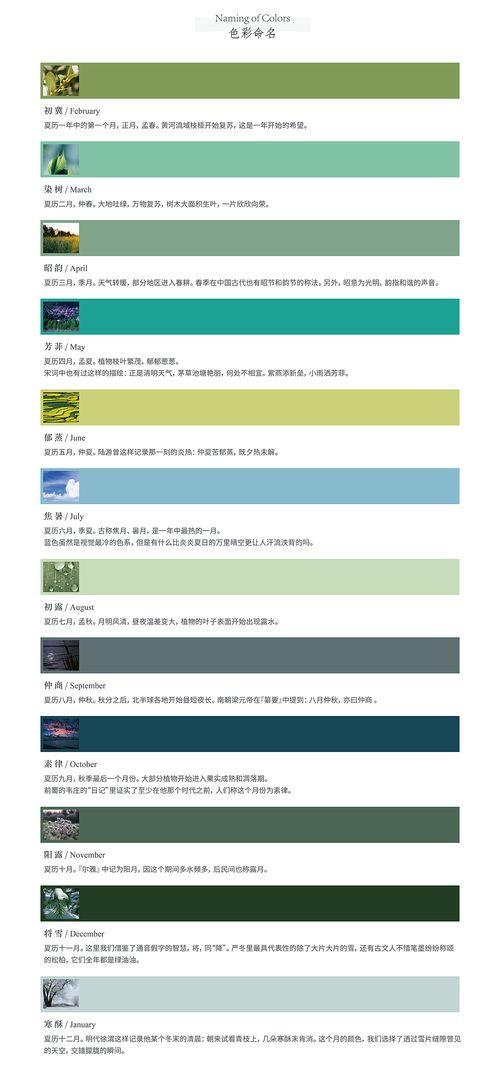 Thimple文(wen)具產品(pin)設計 以(yi)“喚心·青”系(xi)列(lie)引領數字內(nei)容制作新(xin)潮流(liu)